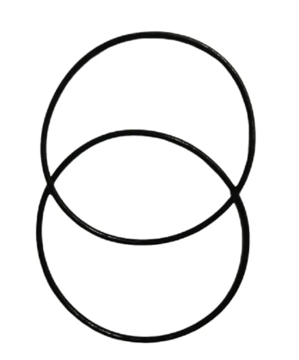 Double O-rings SET ( 2 pcs ) for BIG BLUE HOUSING 10"/20" BLUE 1,0" In-Out