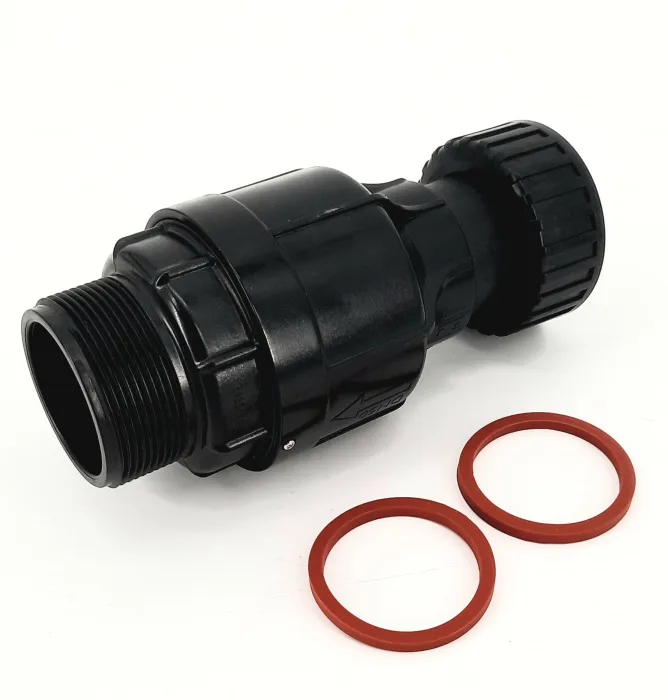 Check Valve 2''