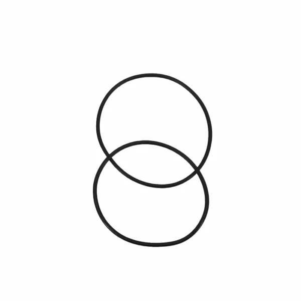 O'ring For Double O'ring housing 10'' BODY/HEAD ( 2 pcs set)