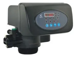 Valve F63P3 (automatic for soft DOWN flow type ) 4 T/H