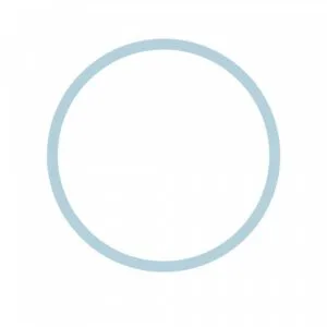 O'ring For filter housing 10'' QUICK 3/8'' (light blue)