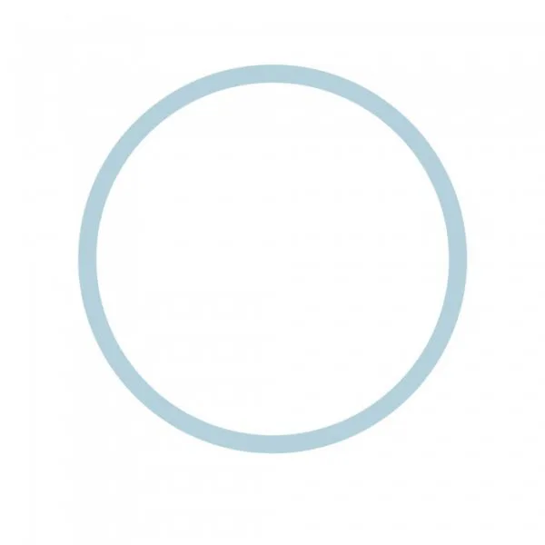 O'ring For filter housing 10'' QUICK 3/8'' (light blue)