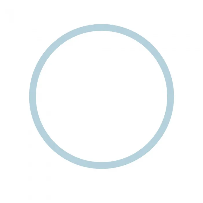 O'ring For filter housing 10'' QUICK 3/8'' (light blue)