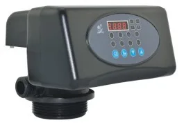 Valve F71P1 (automatic for filter P type)2 T/H