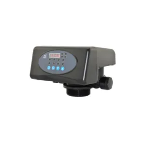 Valve F65P3 (automatic for soft flow P type) 2T/H