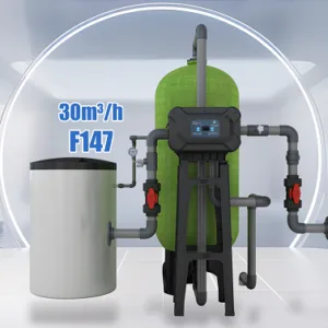 Valve F147B1 (automatic for filter ) 30 T/H