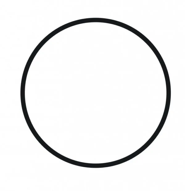O'ring for Housing 20" SLIM BLUE 3/4"