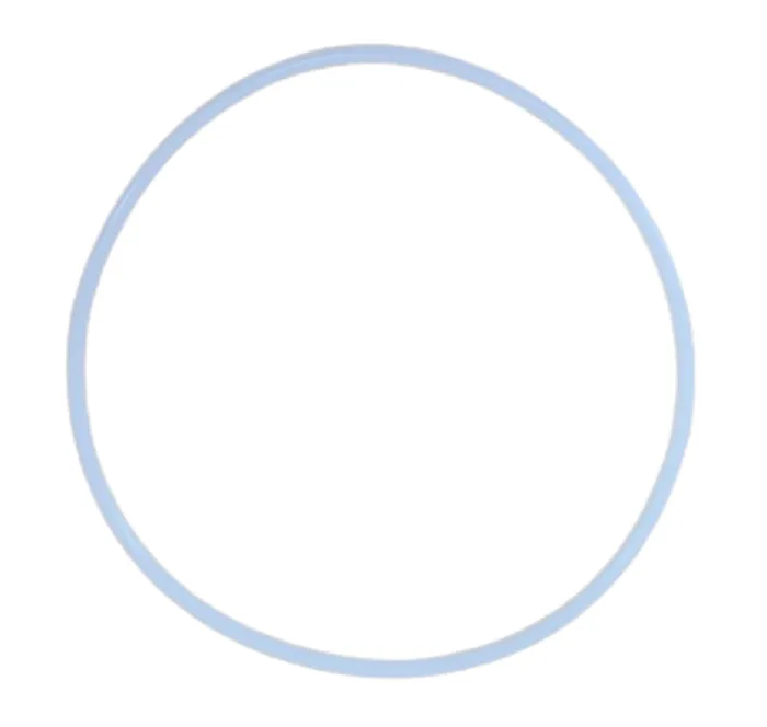 Gasket for Stainless Steel Housing of RO Systems 12000/24000GPD