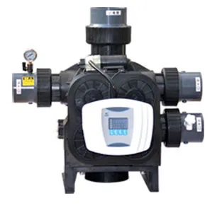 Valve F96B3 (automatic for filter flow type ) 50 T/H