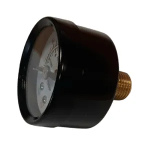 Pressure Meter 1/4'' M Horizontal