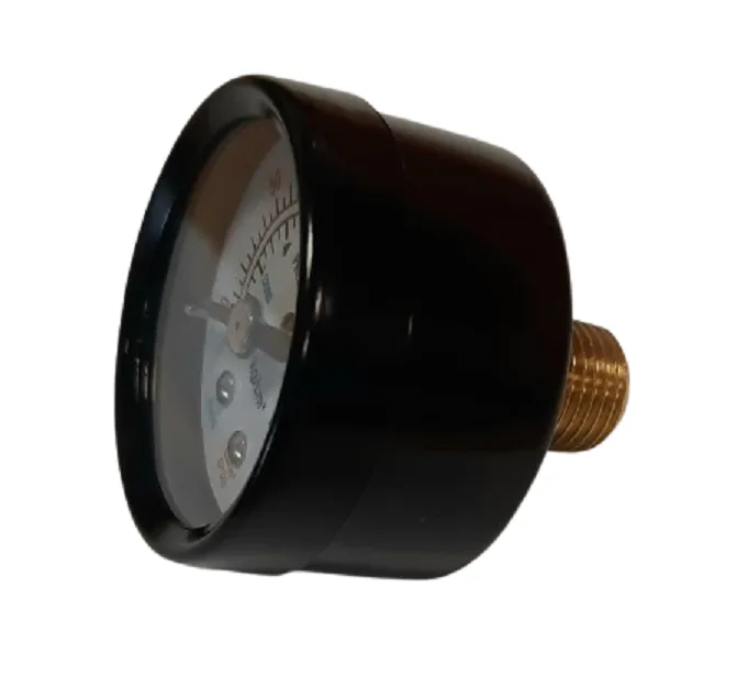 Pressure Meter 1/4'' M Horizontal