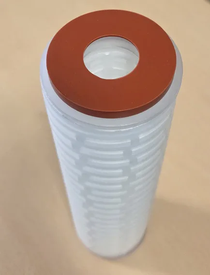 PLEATED FILTER 10", 0.22 MIC
