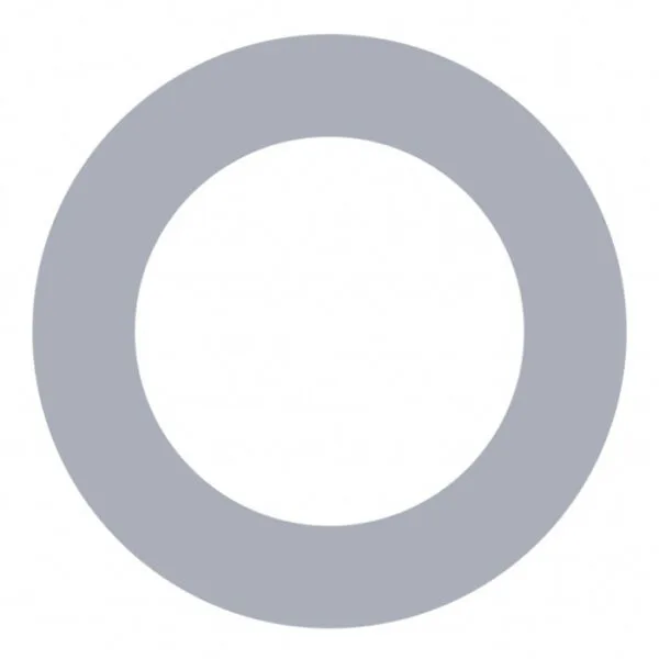 O-ring 1'' TEFLONE Fot Hot water < 95C