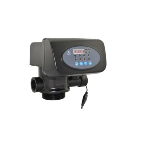 Valve F67P1 (automatic for filter P type) 6 T/H