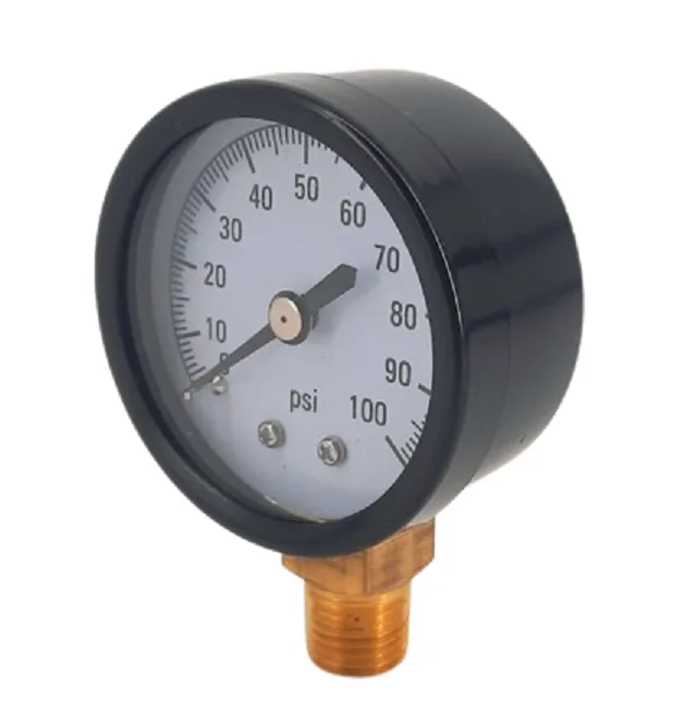 Pressure Meter 1/4'' M Vertical
